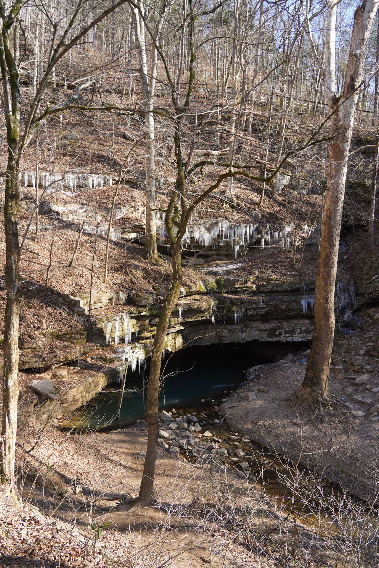 Looking at a natural cave entrance that has some icicles hanging from the rocks. There is a bit of water under the cave entrance