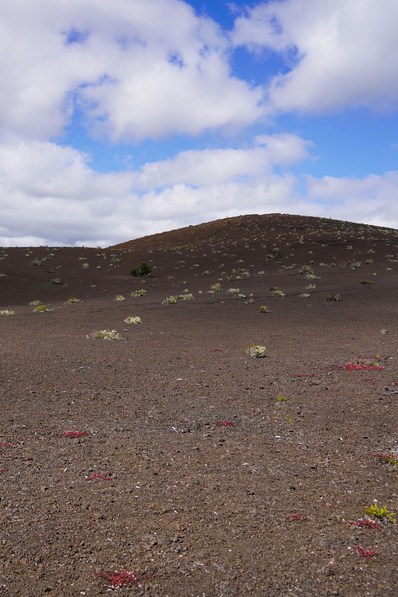 A cinder cone seen from the Devastation Trail