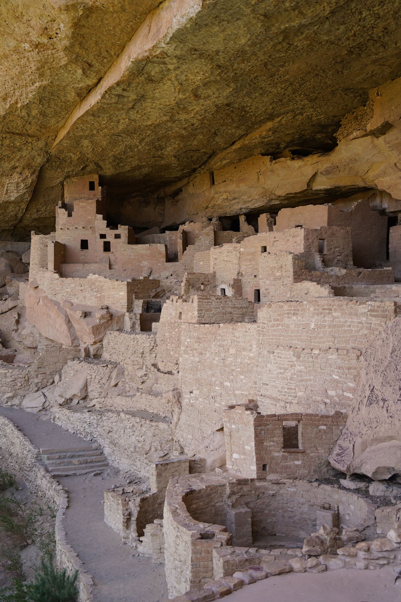 A view inside of Cliff Palace in Mesa Verde