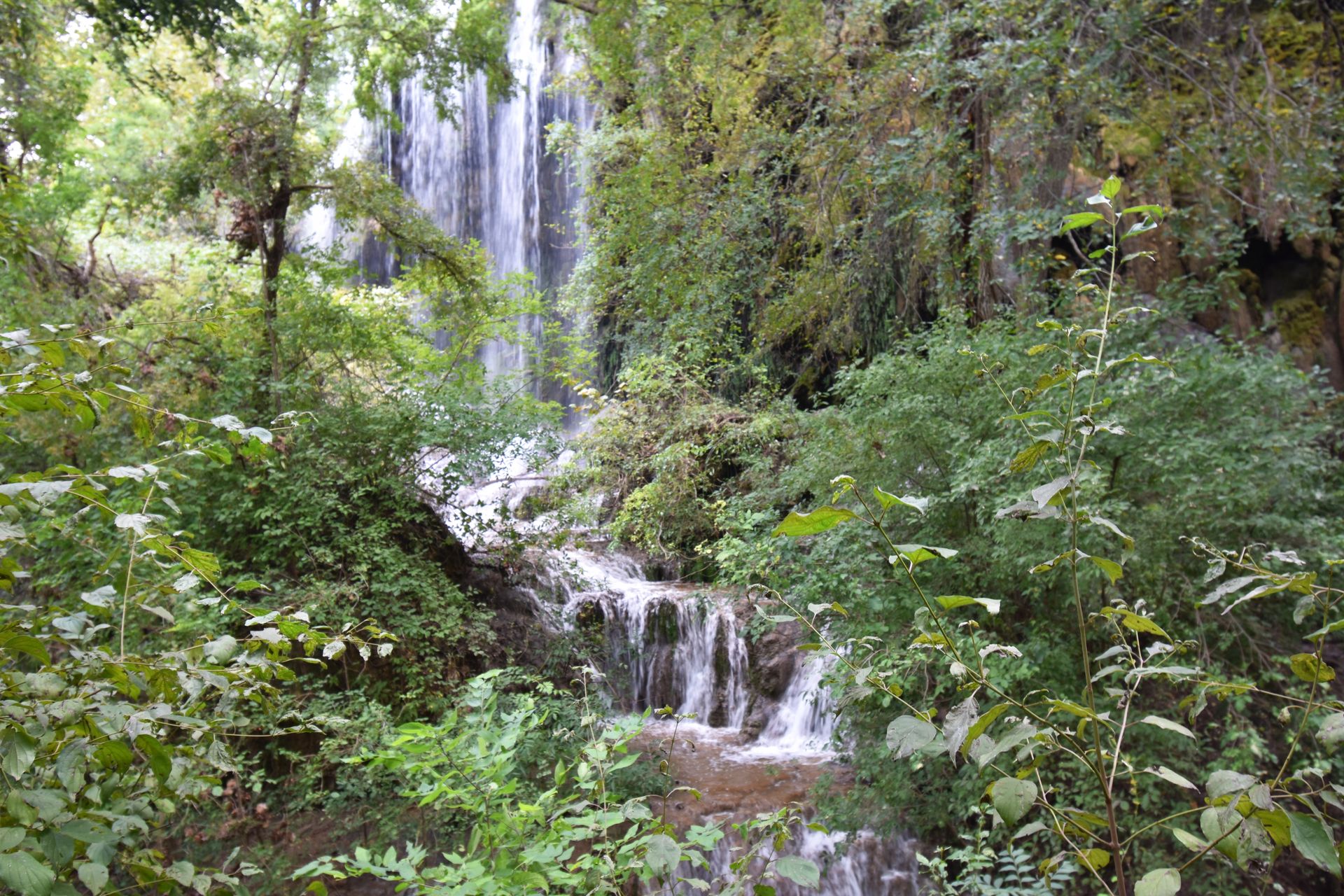 The Gorman Falls waterfall in Colorado Bend surrounded by greenery.