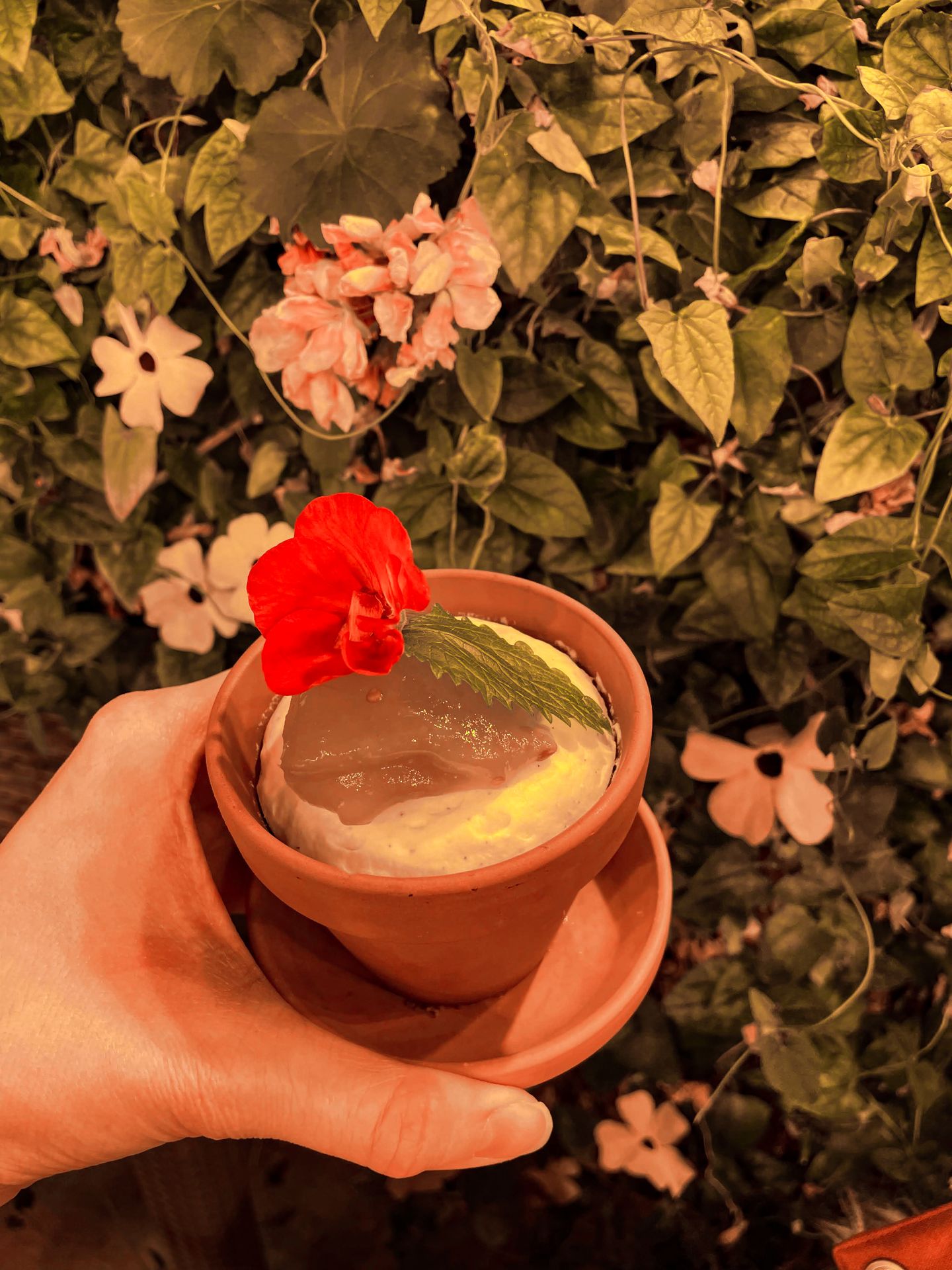 A small flower pot with a dessert in it at Friðheimar.