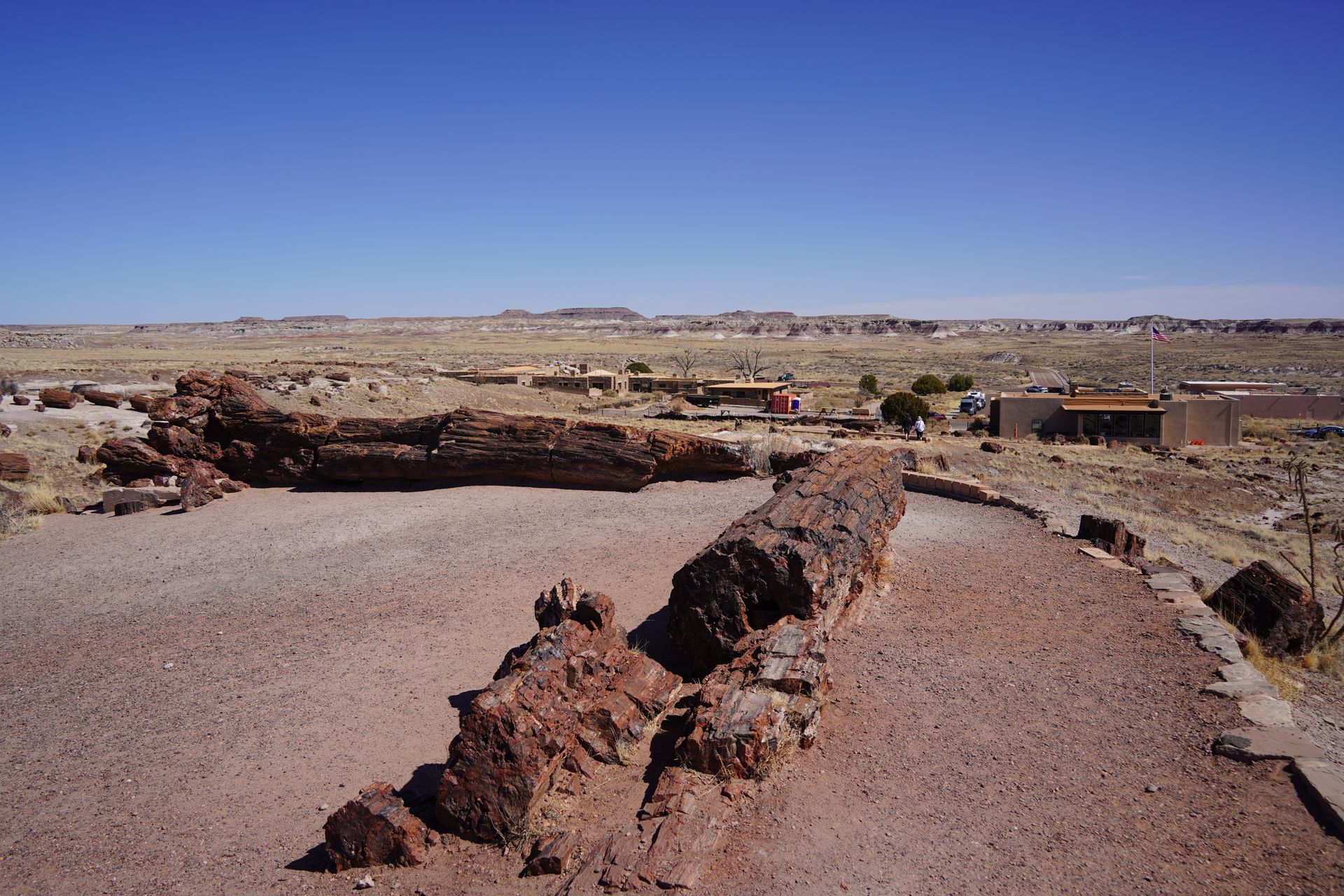 Two huge logs arranged in a right angle on the Giant Logs Trail. You can see buildings in the distance at the bottom of a hill