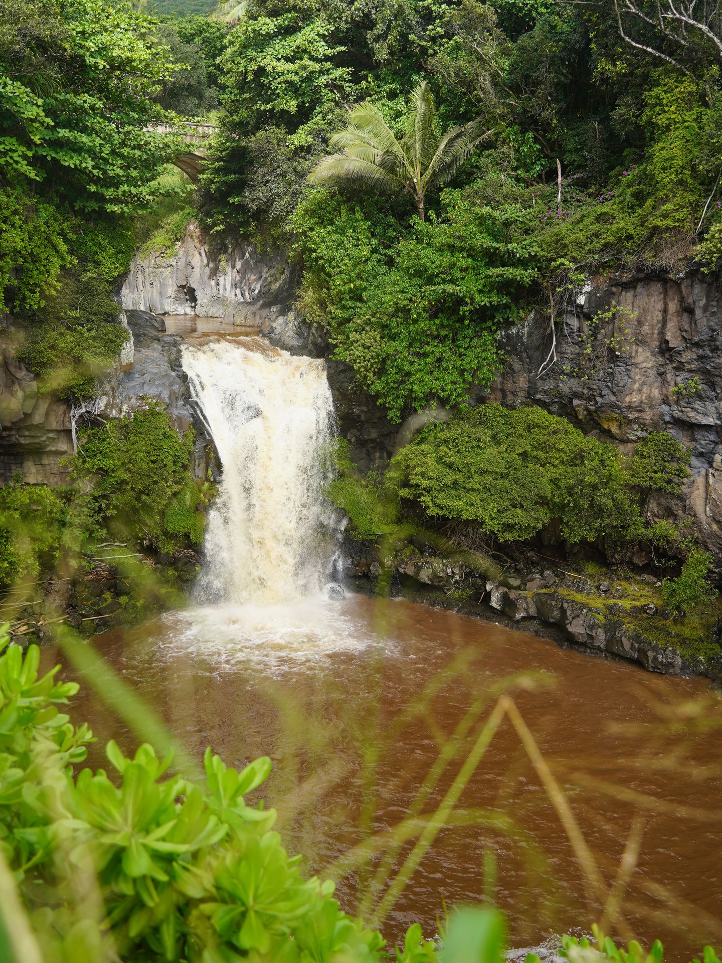 A waterfall flowing into a pool of brown water, with greenery in the foreground