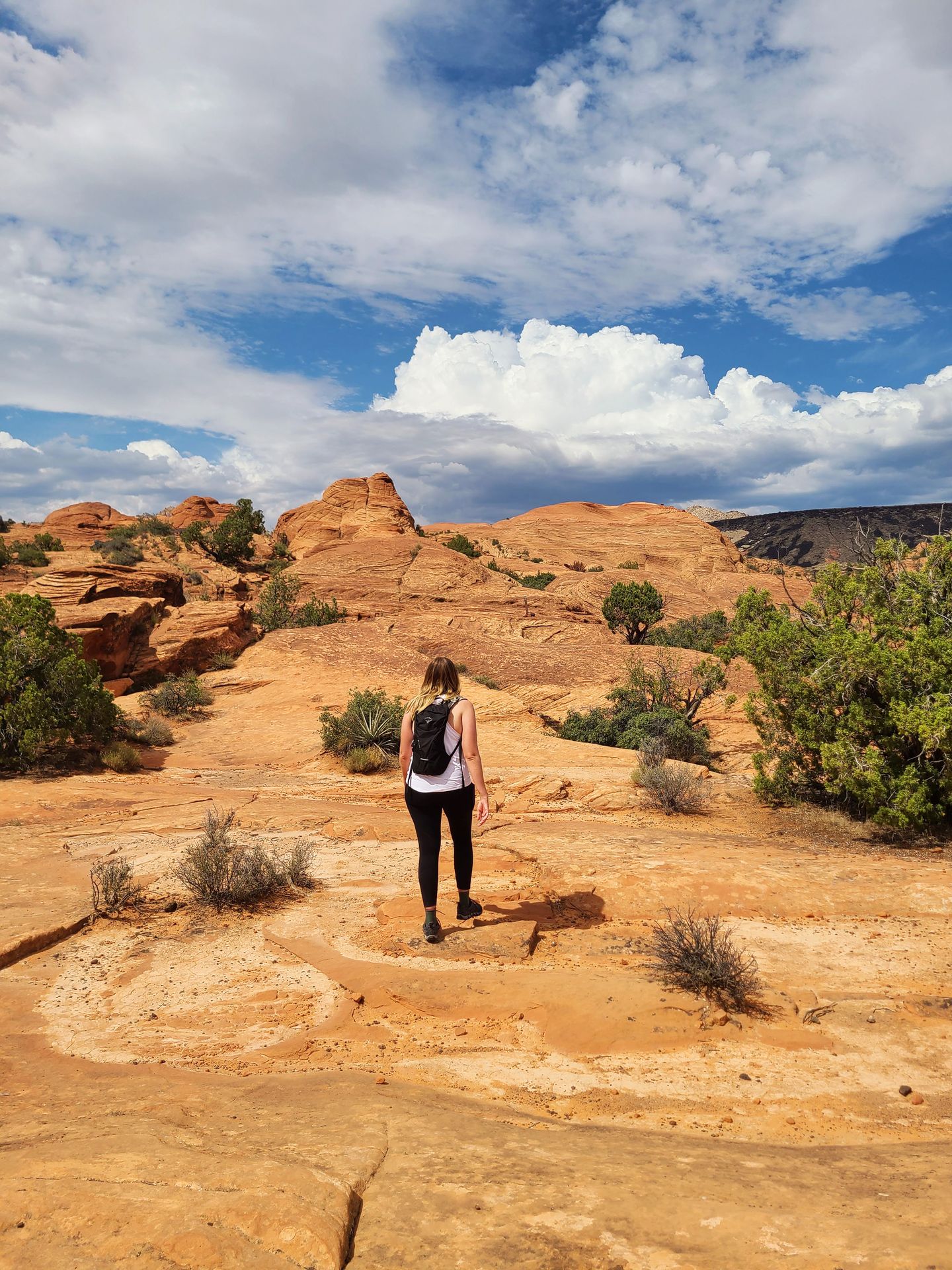 Lydia with her back to the camera hiking in Utah. She has a small black backpack and a white tank top.