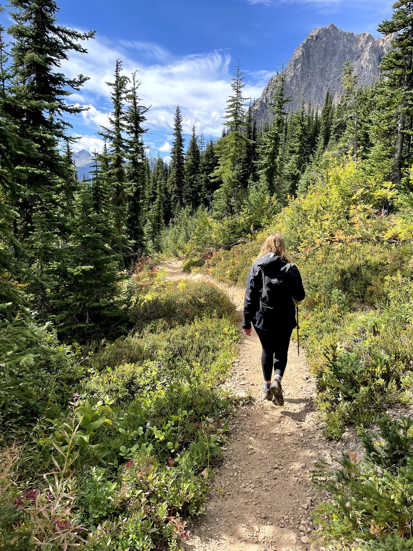Lydia with her back to the camera while hiking a trail in Washington. She is wearing black with a black backpack and has a trekking pole.