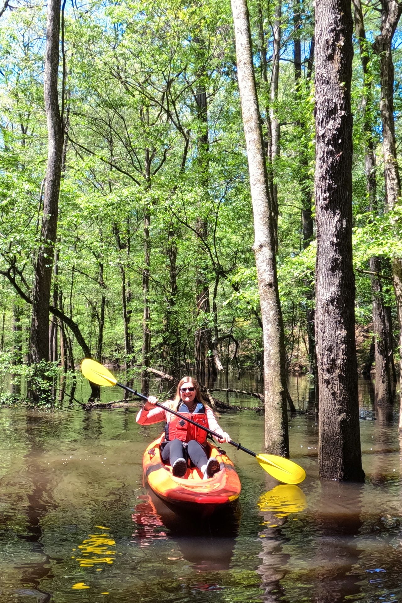 Lydia kayaking next to tall trees in Congaree