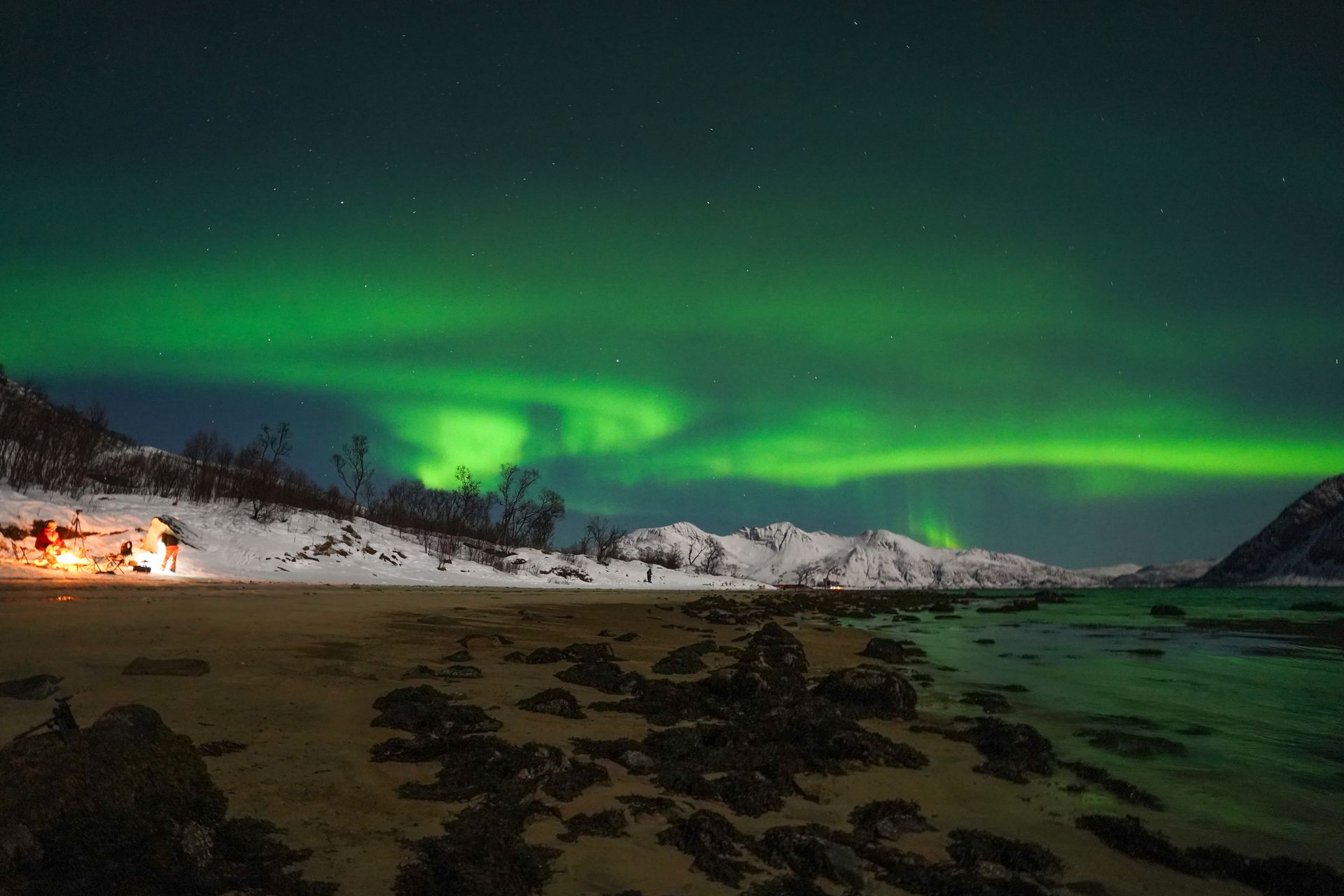 Looking up at a sky lit up with the Autora Borealis. There are snow-covered mountains and a lake in the foreground.