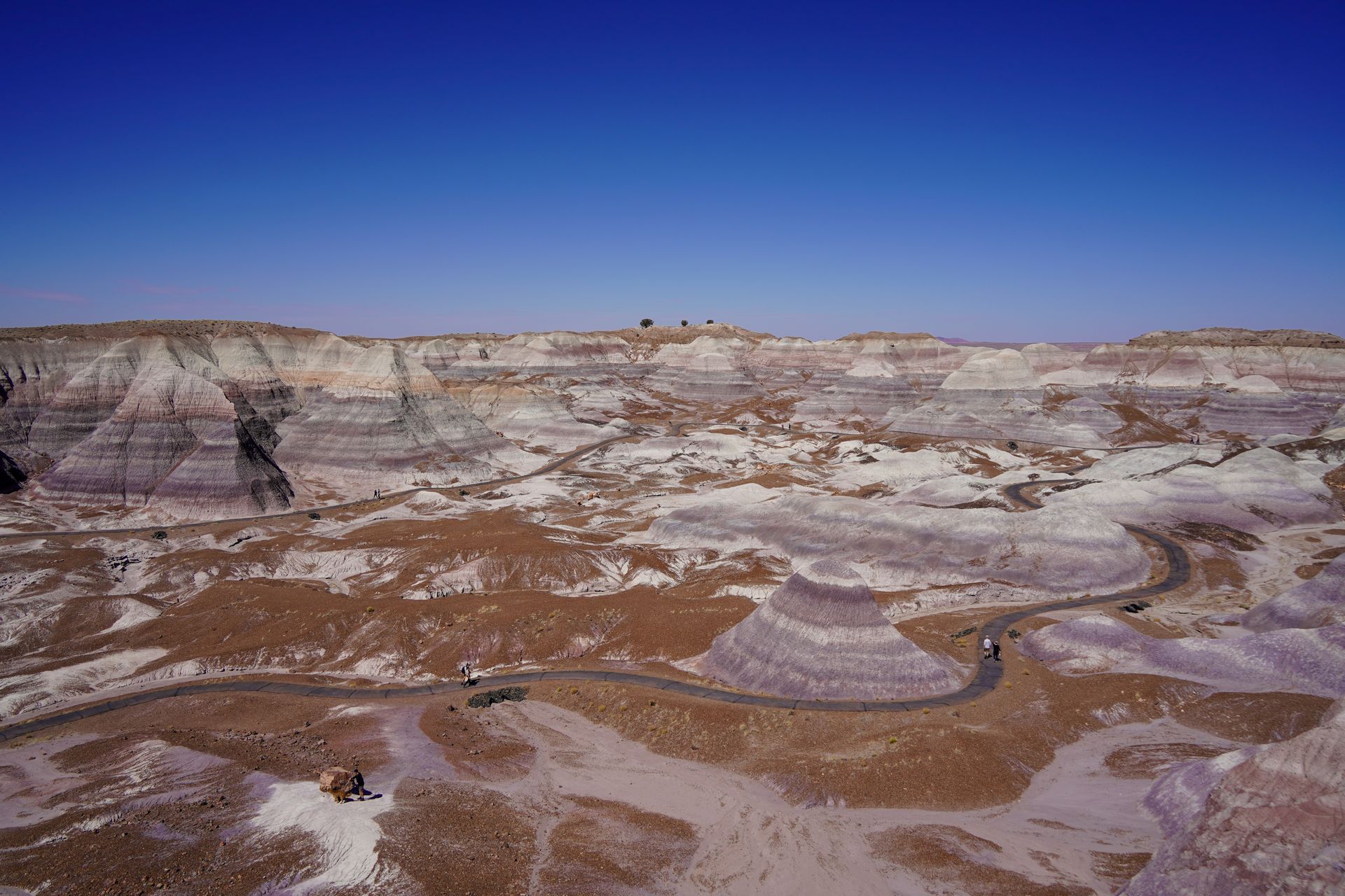 A view looking down at the Blue Mesa Trail, which winds through badland formations.