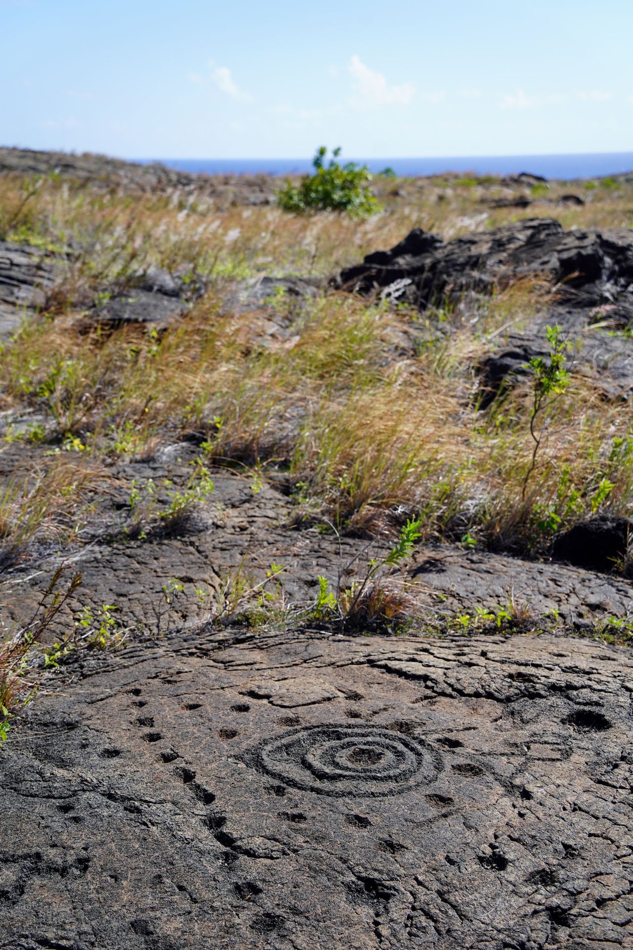 Petrogyphs that include dots and circles