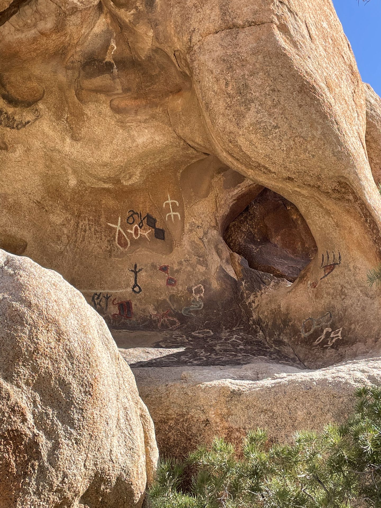 A wall with several petroglyph drawings of various shapes.