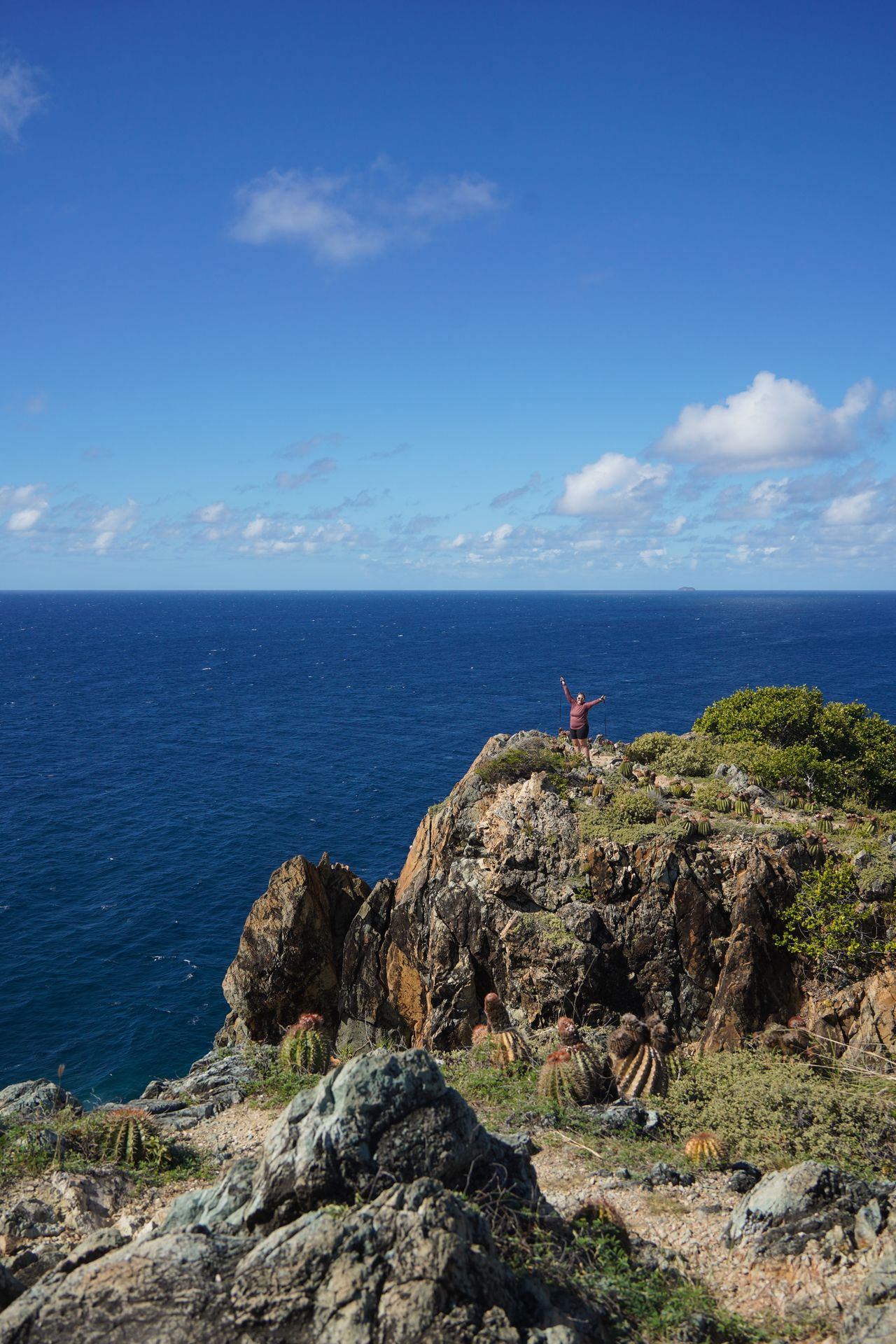 Lydia on a cliff in the distance with the ocean below. There are several cacti on land