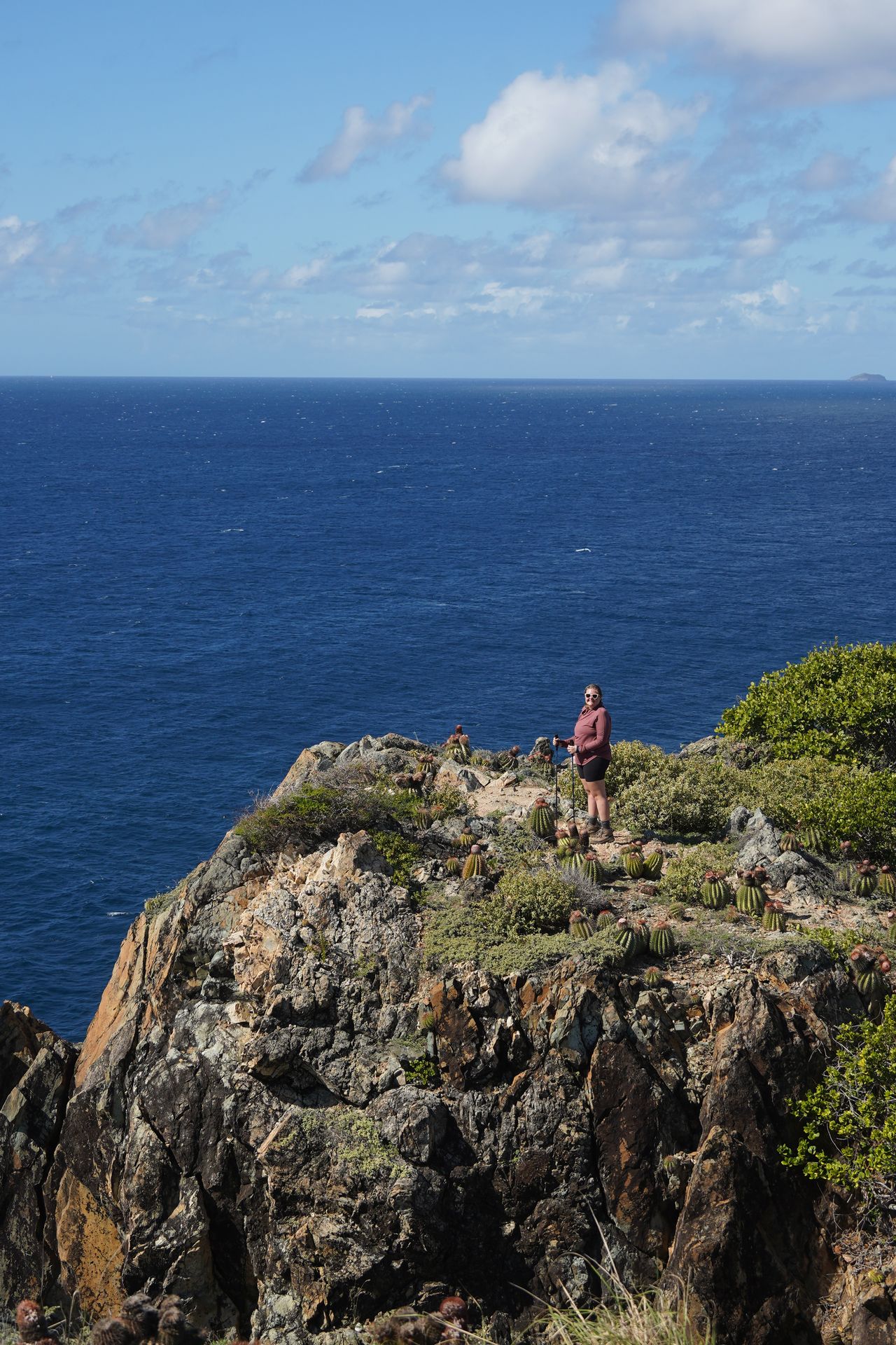 Lydia standing on a hill that rises up above the ocean. There are some cacti surrounding her