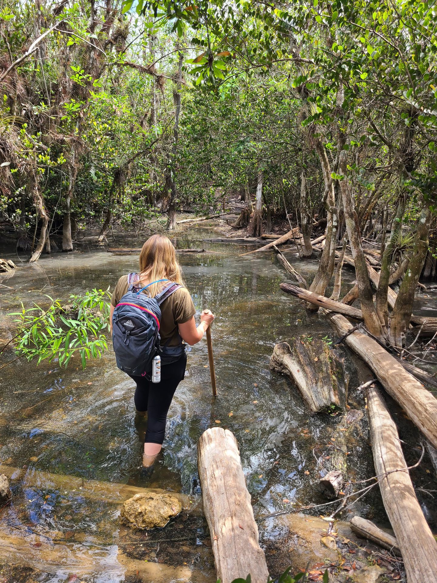 Lydia crossing a river on the Gator Hook trail