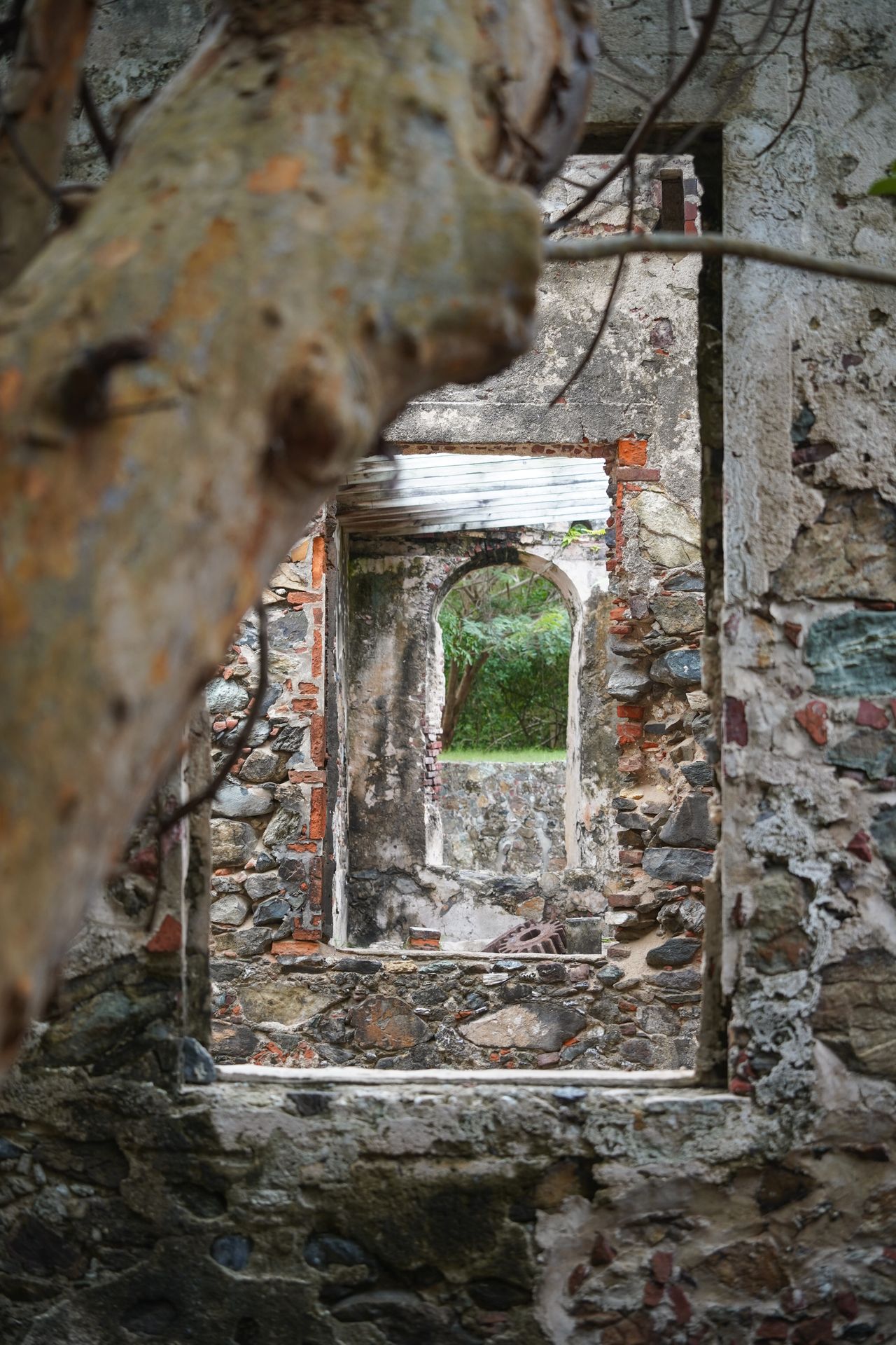 Looking through some windows that were formerally part of plantations on St John Island