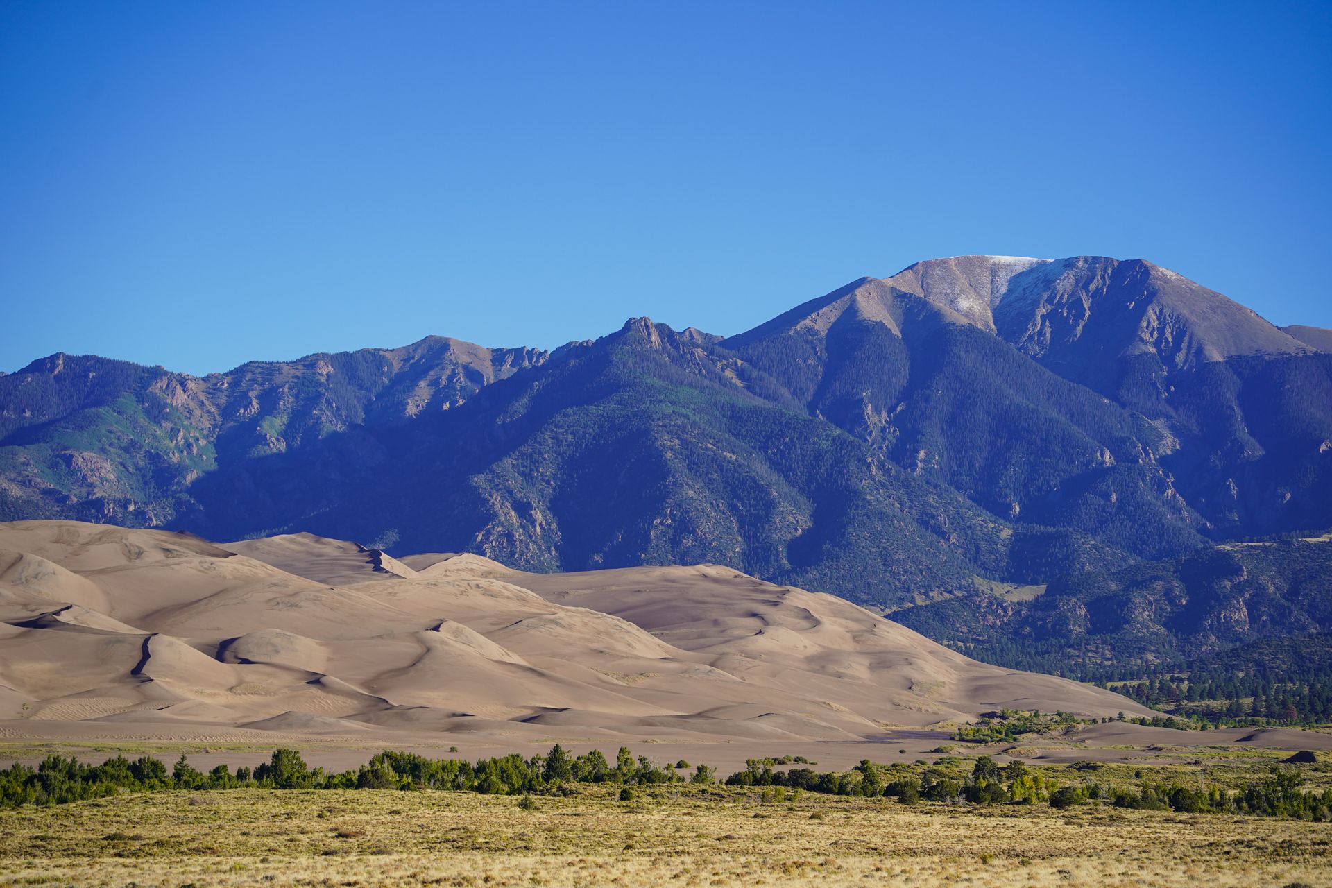 Tall, tan sand dunes with mountains towering up behind them. The mountains are mostly covered in trees with some bare areas at the top