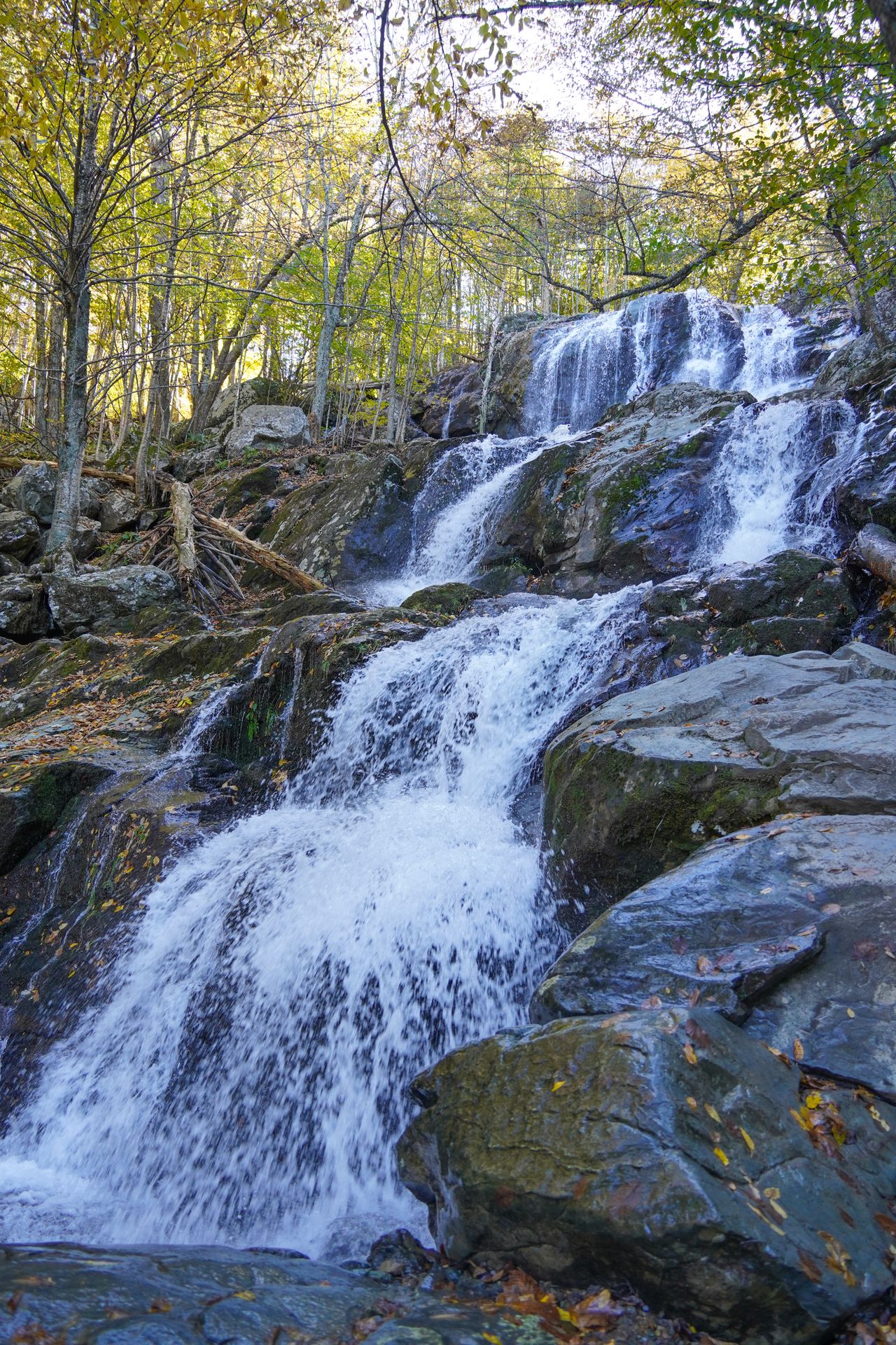 A waterfall cascading down gray rocks, with some fall foliage behind the waterfall