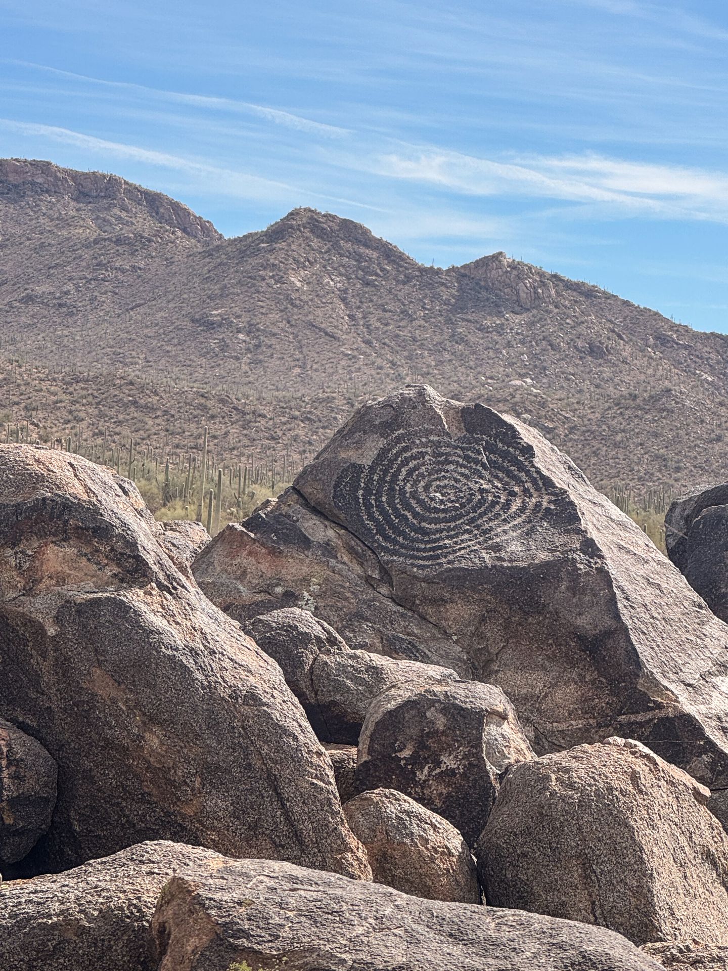 A petroglyph that looks like a large swirl, on a rock on Signal Hill