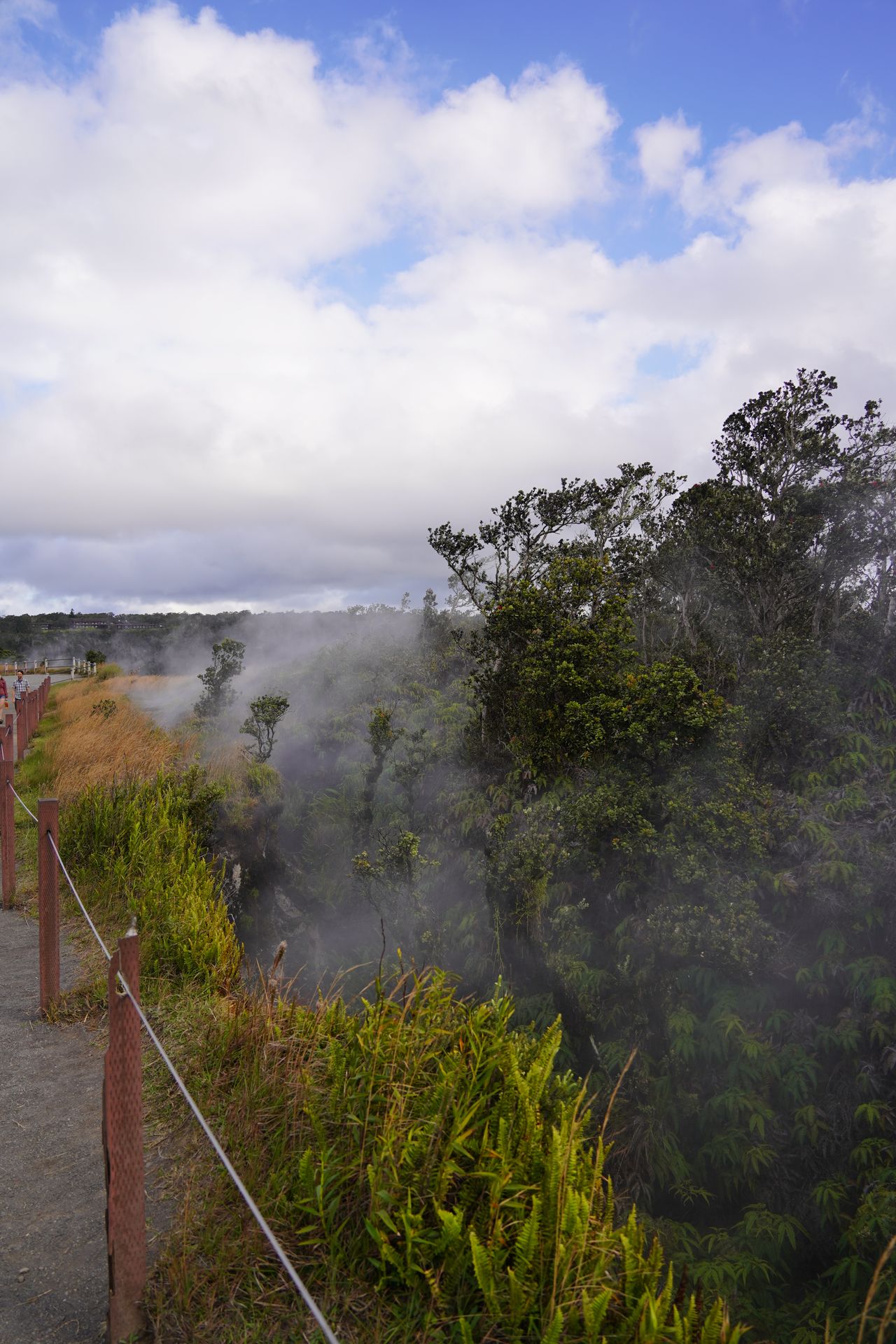 A rope-lined path next to steam flowing up from the volcano