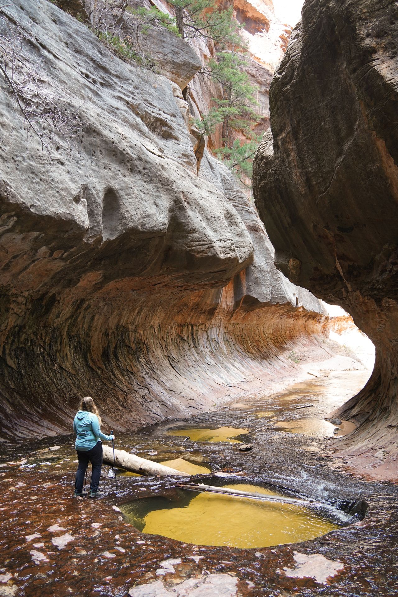 Lydia standing in a rocky gorge next to yellow pools of water, inside of "The Subway" in Zion
