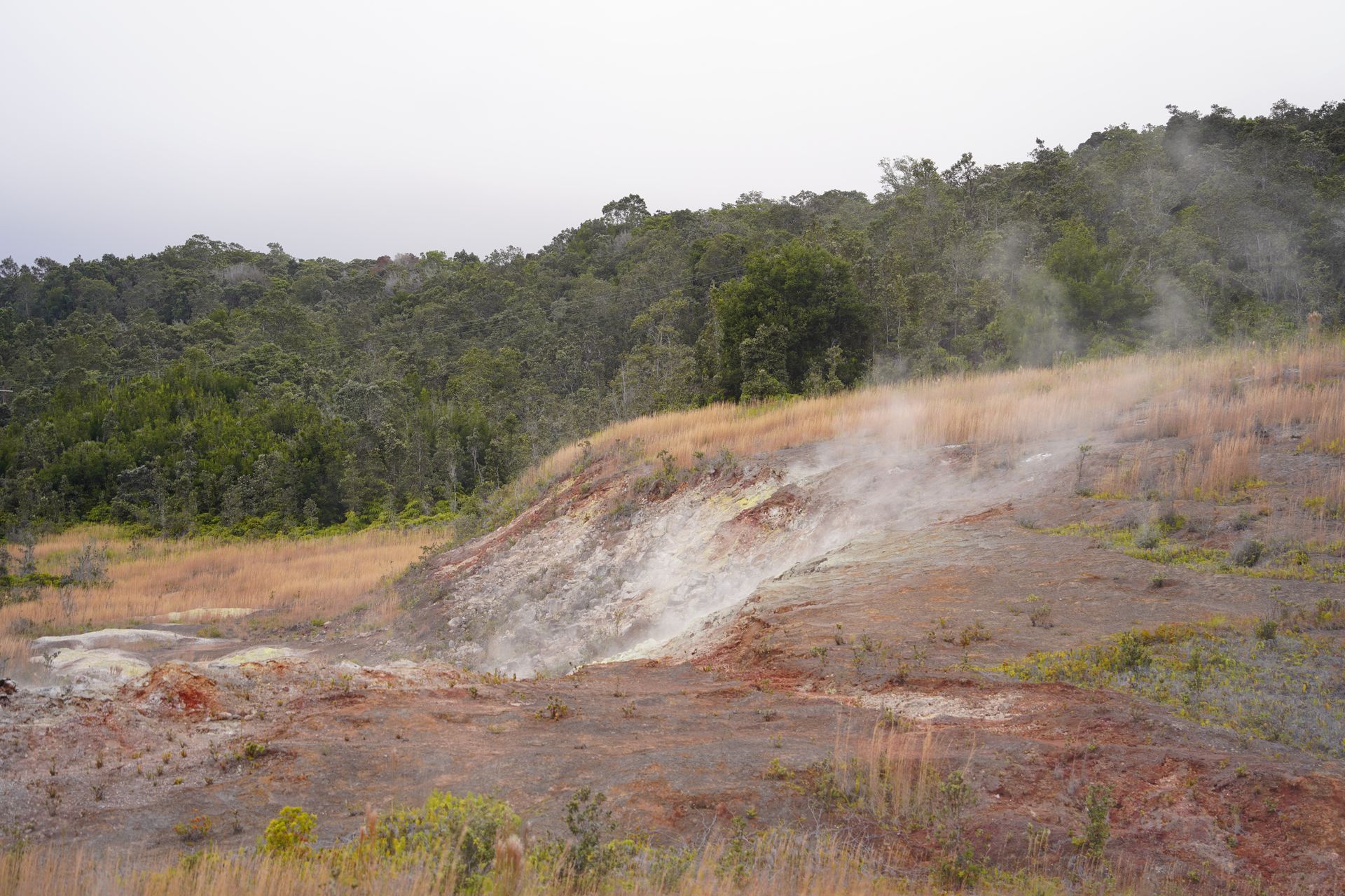 An area of sulphur and yellow grass and steam coming up