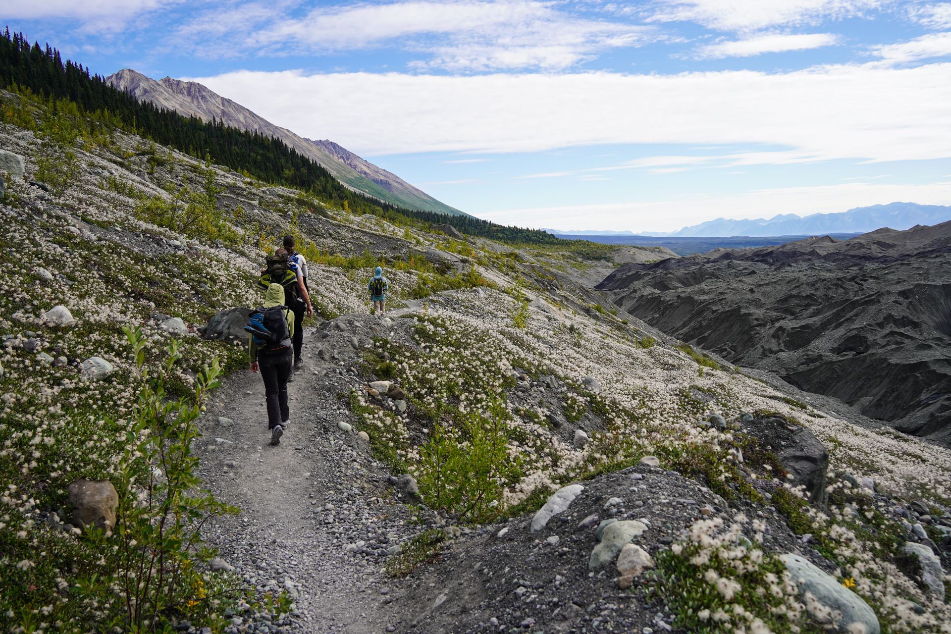 A few people on the Root Glacier trail between the glacier and Kennecott. There are several flowers next to the trail