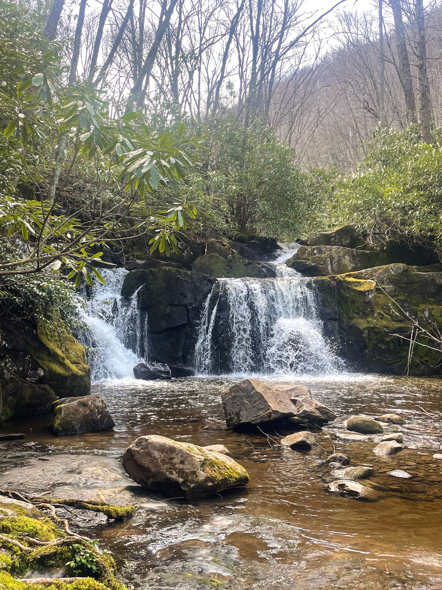 Looking at a small waterfall that is framed by green leaves