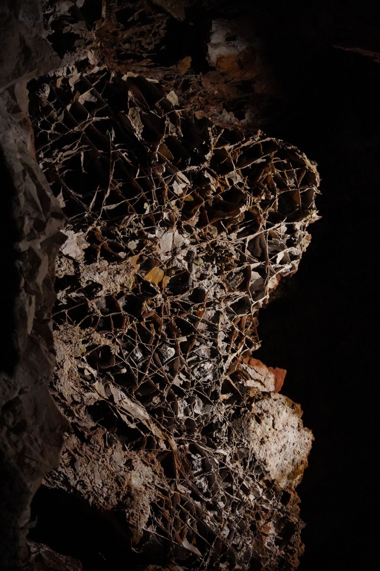 A close up view of intricate boxwork inside of Wind Cave