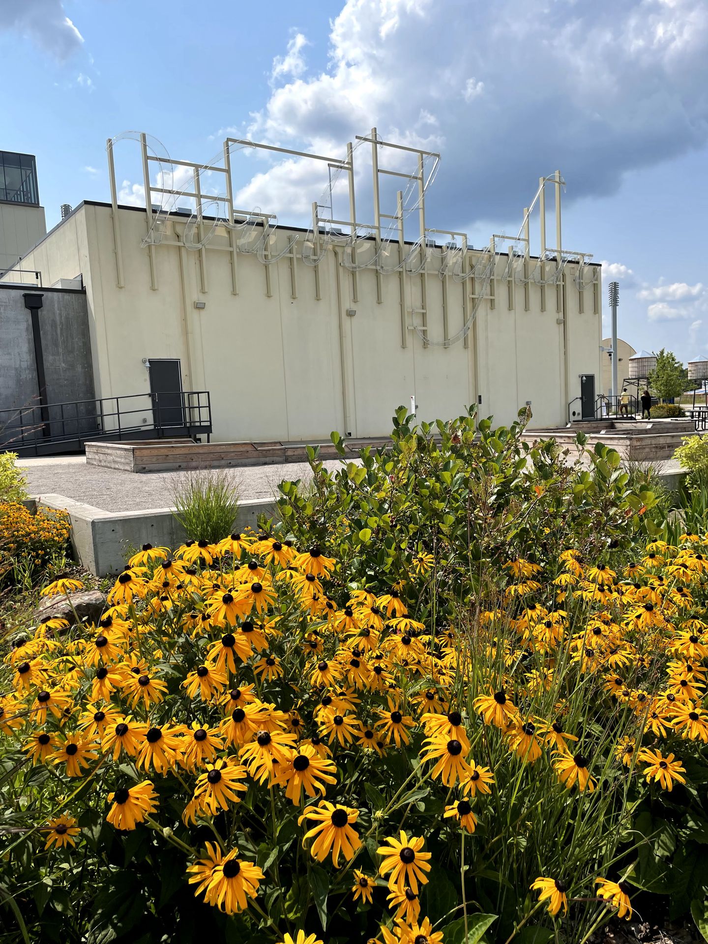 The exterior of The Momentary. There is a garden of yellow flowers in front of the building. A neon sign reads "You Belong Here" on the building but you can't read it in the daylight.
