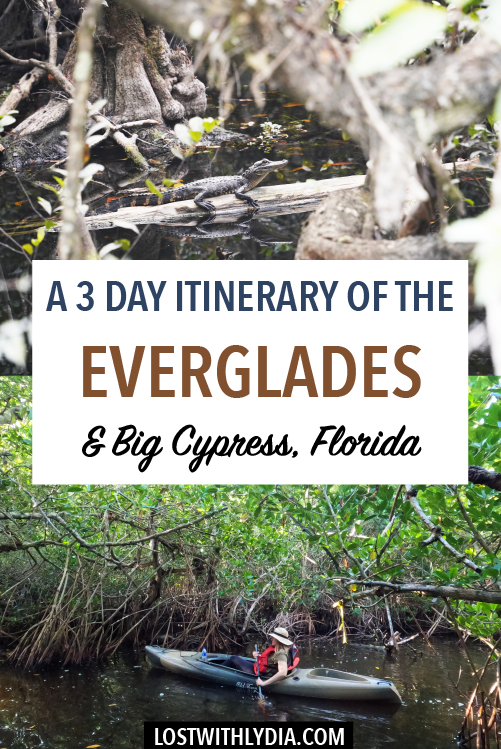 Learn how to spend 3 days in the Everglades and Big Cypress National Preserve with this detailed Florida itinerary!