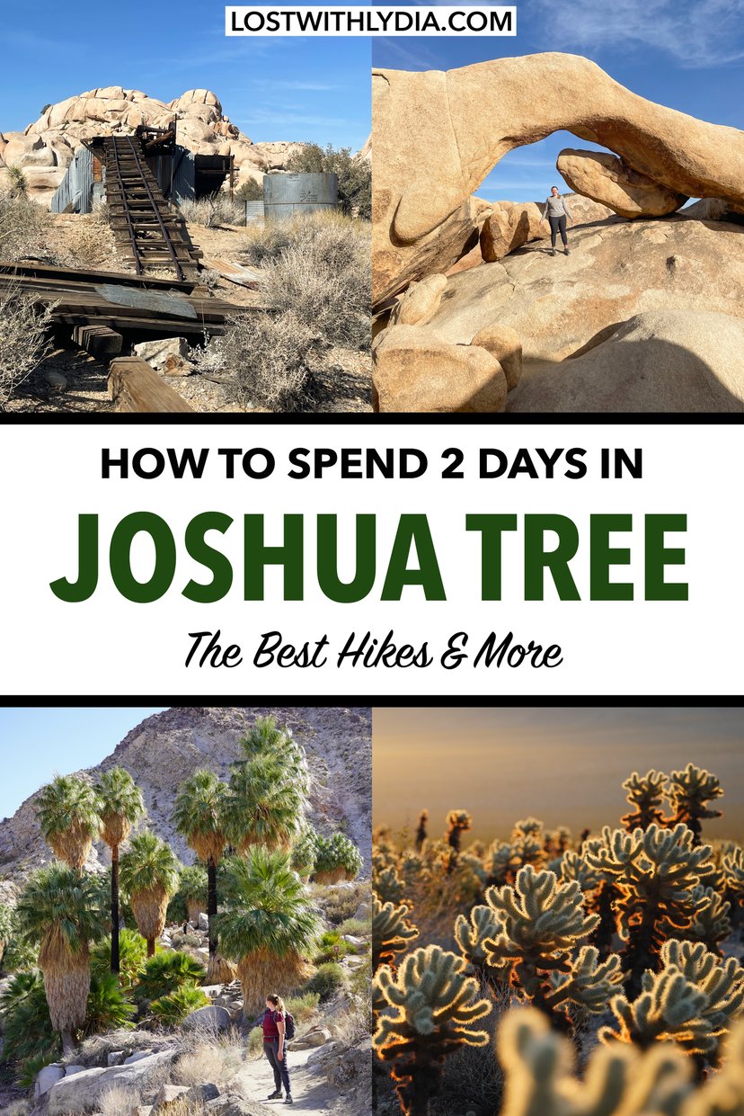 Learn how to spend two days in Joshua Tree National Park with this guide! Discover the best hikes in Joshua Tree and plan a perfect weekend in Joshua Tree.