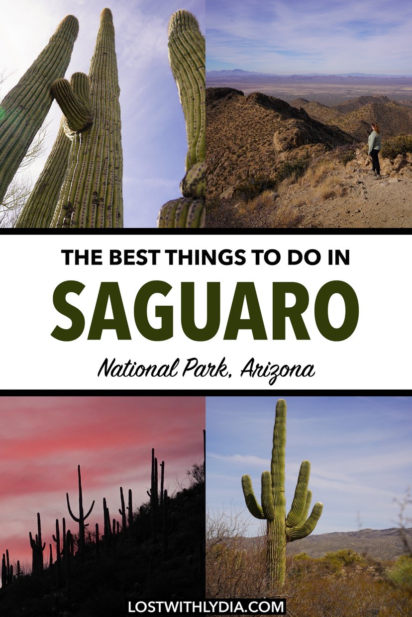 Learn how to spend 2 days in Saguaro National Park! This guide includes hikes in Saguaro, scenic drives in Saguaro, and more.
