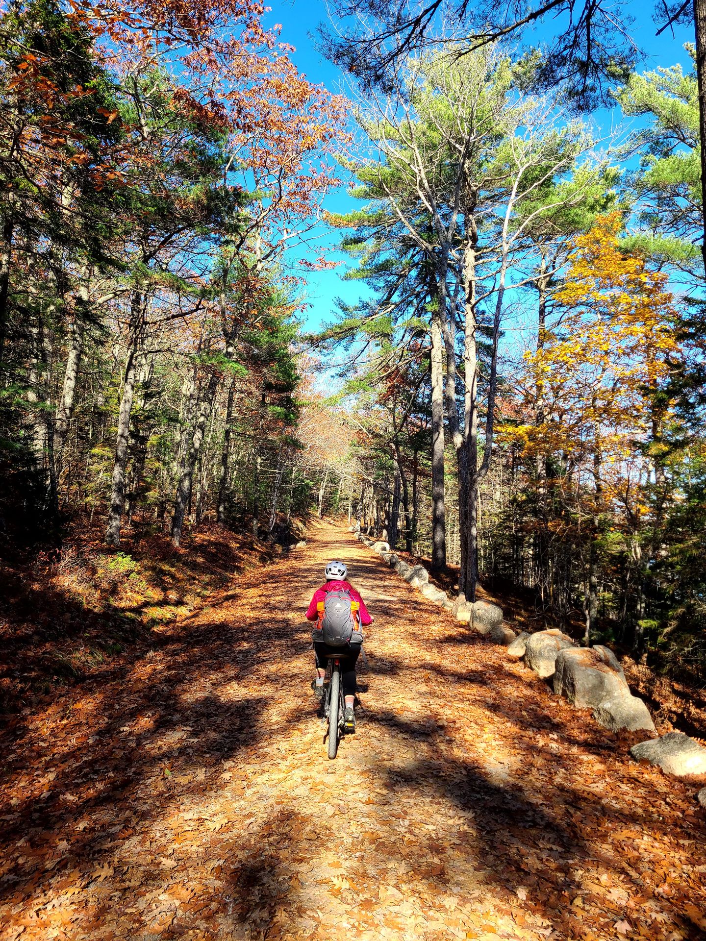 Mountain biking in acadia national online park